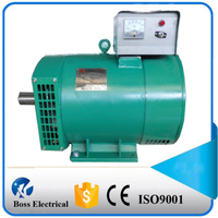 Brush AC Synchronous Alternator 10kw ST-10 with Ce